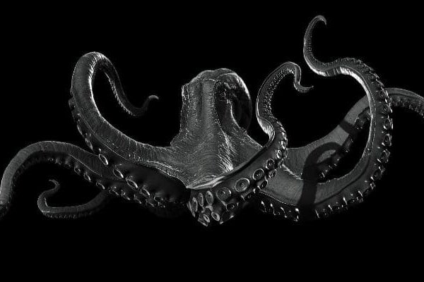 Kraken 5 at