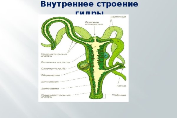 Кракен онион ссылка на тор